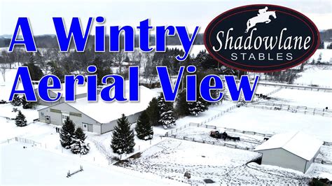 shadowlane videos|Shadowlane Stables .